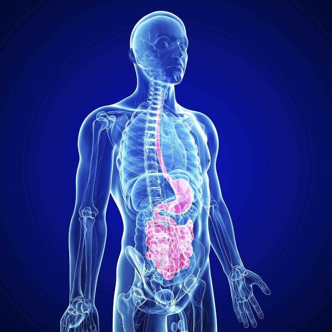 Anti-Aging & Full-Body Regeneration