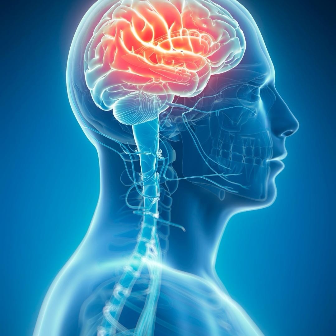 Neurological Regeneration