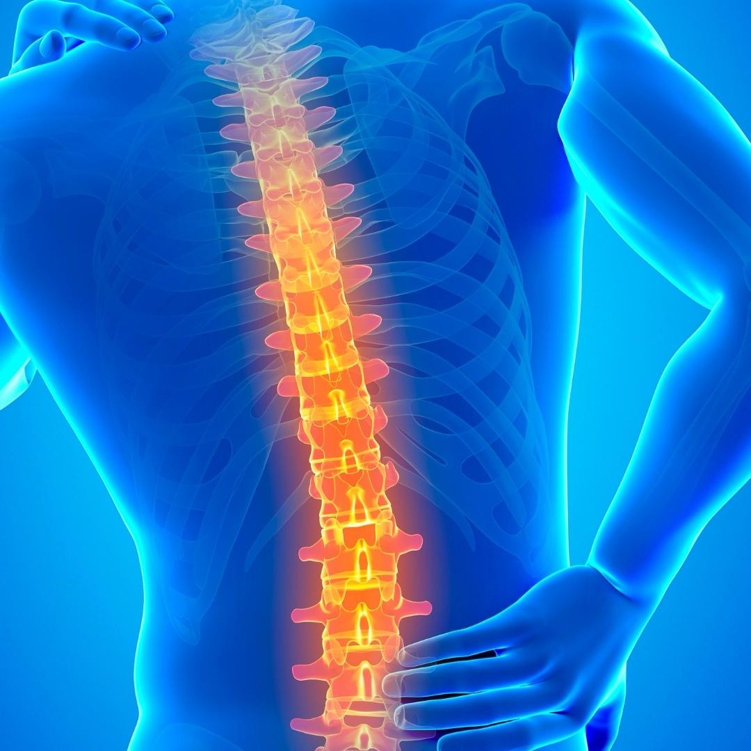 Spinal Regeneration